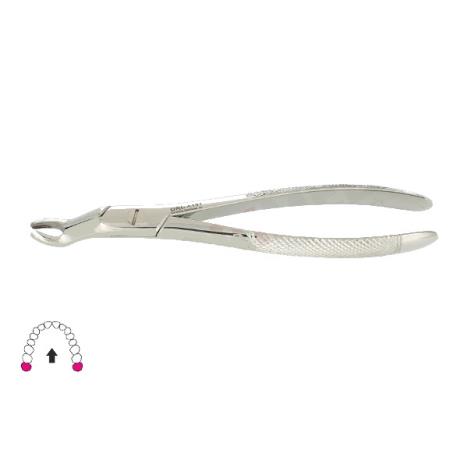 Kleszcze Berten fig. 67 / GÓRNY ZĄB MĄDROŚCI