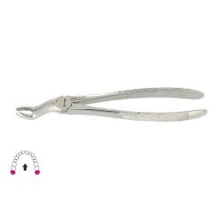 Kleszcze Berten fig. 67 A / GÓRNY ZĄB MĄDROŚCI