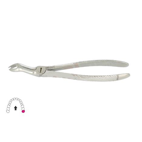 Kleszcze Berten fig. 67 L / GÓRNY ZĄB MĄDROŚCI