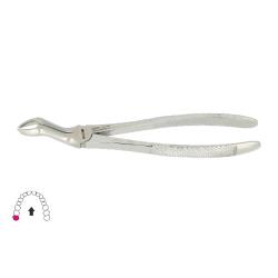 Kleszcze Berten fig. 67 R / GÓRNY ZĄB MĄDROŚCI