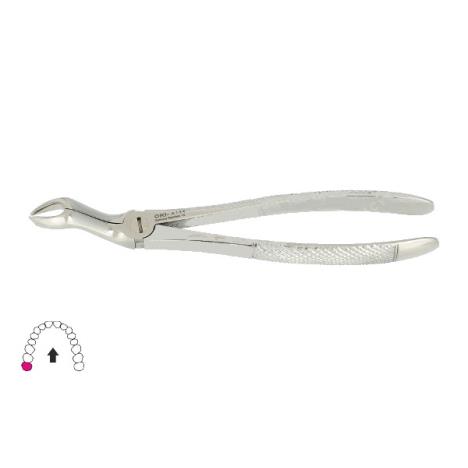 Kleszcze Berten fig. 67 R / GÓRNY ZĄB MĄDROŚCI