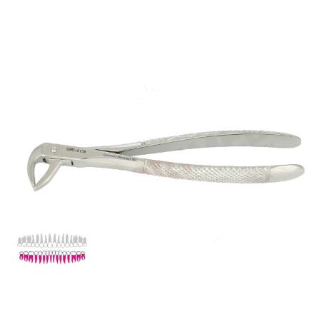Kleszcze Berten fig. 74 / DOLNE KORZENIE