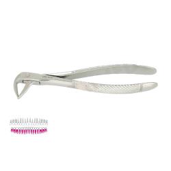 Kleszcze Berten fig. 74 N / DOLNE KORZENIE