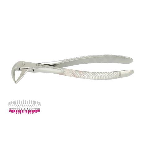 Kleszcze Berten fig. 74 N / DOLNE KORZENIE