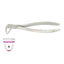 Kleszcze Berten fig. 74 XN / DOLNE KORZENIE I STŁOCZONE SIEKACZE