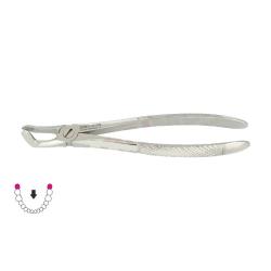 Kleszcze Berten fig. 79 / DOLNY ZĄB MĄDROŚCI