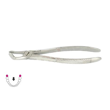 Kleszcze Berten fig. 79 / DOLNY ZĄB MĄDROŚCI