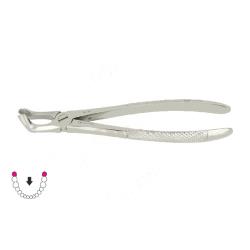 Kleszcze Berten fig. 79 A / DOLNY ZĄB MĄDROŚCI