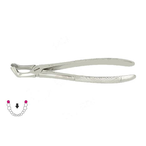 Kleszcze Berten fig. 79 A / DOLNY ZĄB MĄDROŚCI