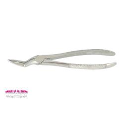 Kleszcze Berten fig. 97 / GÓRNE KORZENIE