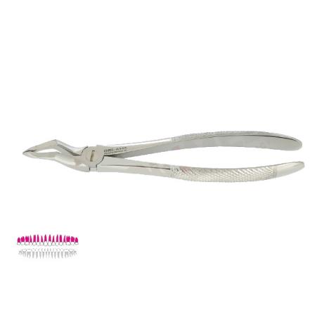 Kleszcze Berten fig. 97 L / GÓRNE KORZENIE