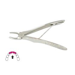 Kleszcze Berten do zębów mlecznych 12 cm / GÓRNE SIEKACZE
