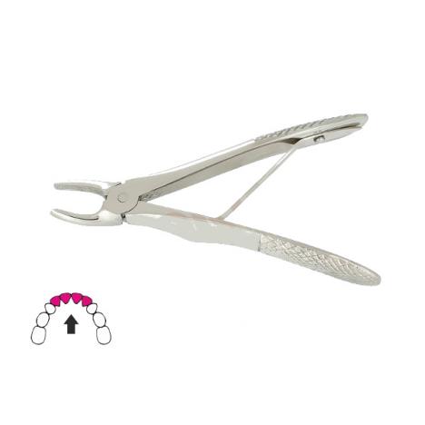Kleszcze Berten do zębów mlecznych 12 cm / GÓRNE SIEKACZE
