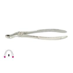 Kleszcze Berten fig. 100 / GÓRNY ZĄB MĄDROŚCI