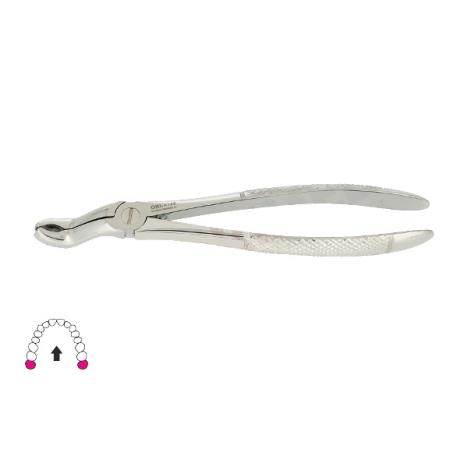 Kleszcze Berten fig. 100 / GÓRNY ZĄB MĄDROŚCI