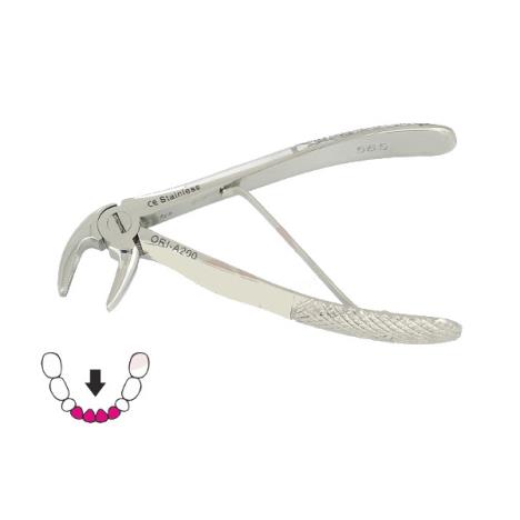 Kleszcze Berten do zębów mlecznych 12 cm / DOLNE SIEKACZE