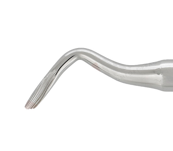 Dźwignia korzeniowa Kopp boczna prawa